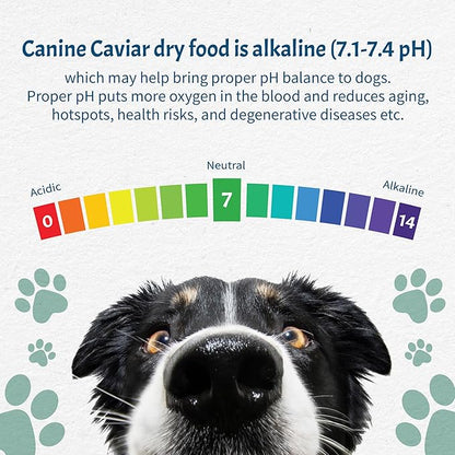 Canine Caviar - Open Sky: Duck & Teff Alkaline Dry Dog Food, Limited Ingredients, Gluten-Free, Based on Science & Research, Veterinary Alternative Diet (4.4 Pound Bag)