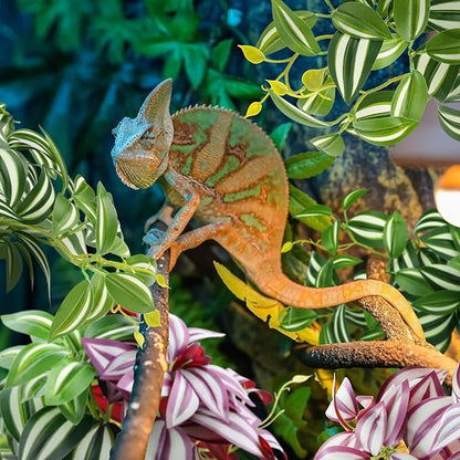 QUOZUO 2 Pack Reptile Plants, Artificial Hanging Plants with Suction Cups, Habitat Decor Plastic Vines Decorations for Bearded Dragons Lizards Snake Geckos Frogs -Purple and Green