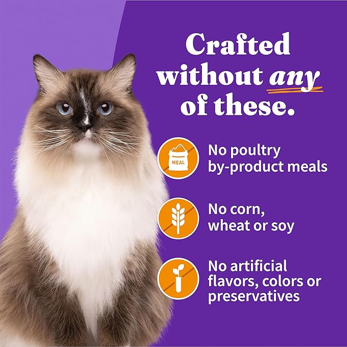 Halo Wet Cat Food Whole Chicken Recipe, Grain Free Wet Cat Pate, Canned Cat Food for Extra Hydration, 5.5 Oz Can (Pack of 12)