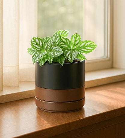 D'vine Dev Set of 2 Plants Pots, 4.7 Inch Ceramic Planter Pot for Plants with Drainage Hole and Saucer, Black/Speckled Tan, 94-V-B-7