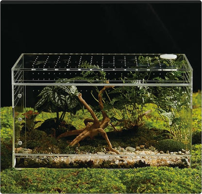 Acrylic Terrarium for Reptiles & Spiders – Small/Medium/Large Leak-Proof Enclosure (Horizontal/Vertical) | Ideal for Tarantulas, Jumping Spiders, Frogs & Geckos (Large, Horizontal)