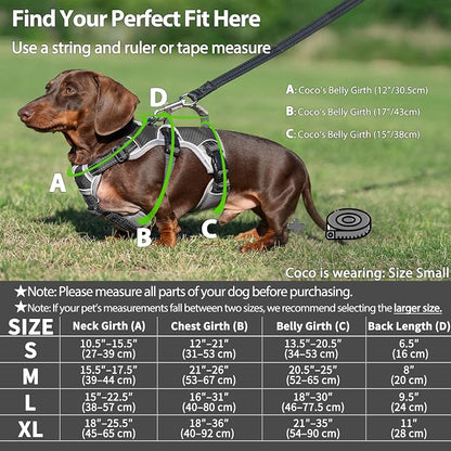 Escape Proof Dog Harness, Dachshund Harness, Reflective Dog Harness with Handle, Durable,Adjustable Vest for Small Medium Large Dogs Walking, Training, and Running Gear (Black,XL)
