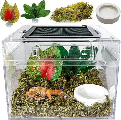 Reptile Terrarium, Jumping Spider Enclosure Starter Kit, Leopard Gecko Habitat Container, 8"x8"x7"Reptile Tank for Tarantula, Hermit Crab, Insect, Fish, Frog, Small Bearded Dragon, Lizard