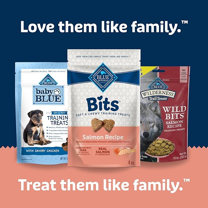 Blue Buffalo Bits Soft Dog Treats for Training, Made with Natural Ingredients & Enhanced with DHA, Salmon Recipe, 4-oz Bag