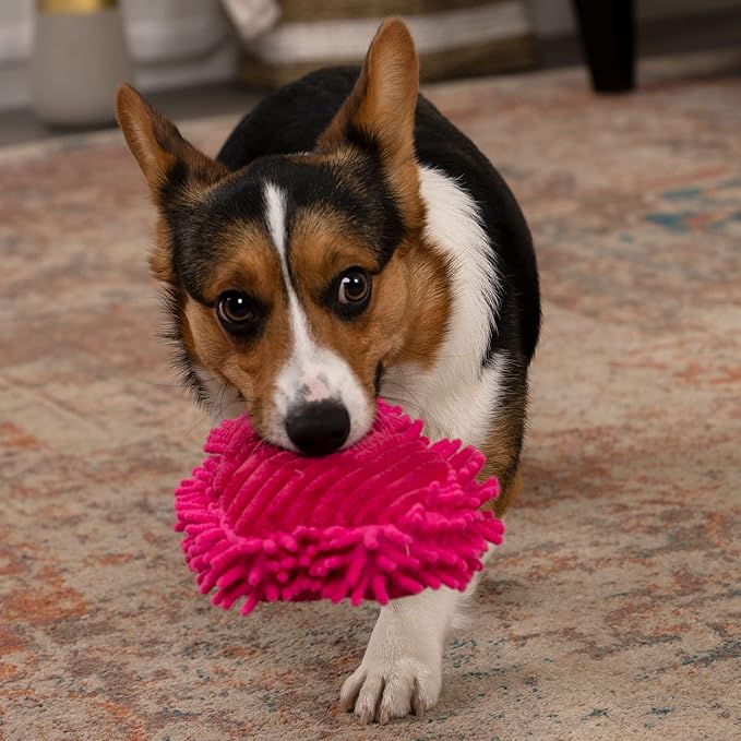 goDog PlayClean Germs Squeaky Plush Dog Toy with Odor-Eliminating Essential Oils, Chew Guard Technology - Pink, Small