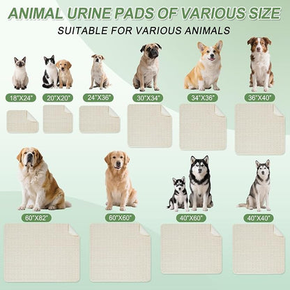 Washable Pee Pads for Dogs Puppy Pad, Cream White 60”x60” 1 Pack | High Absorbent Dog Pee Pad Leak Proof Cat Rugs, Reusable Non Slip Pet Mat, Wee Wee Pads for Training, Crate and Floor