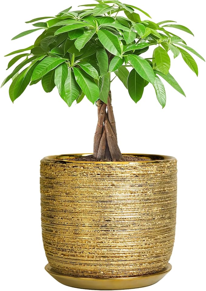 Ceramic Plant Pot 7 Inch - Ceramic Planter for Indoor Outdoor Plants, Round Modern Flower Pot with Drainage Hole and Saucer, Housewarming Gifts, House Patio Office Home Decor, Gold