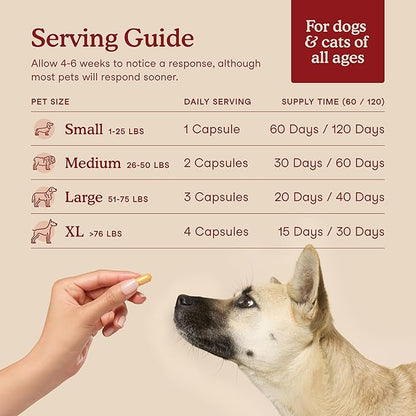 Fera Pets Cardiac Support - Cat & Dog Heart Supplement with Taurine, L-Carnitine, & CoQ10 - Promotes Normal Circulation and Heartbeat - 120 Capsules