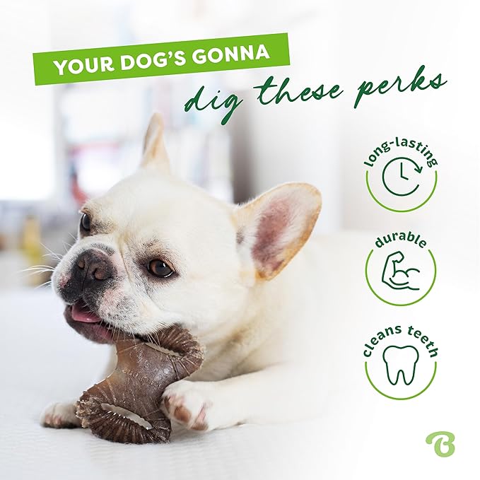Benebone Tiny 2-Pack Dog Chew Toys, Made in USA, Real Bacon Flavor