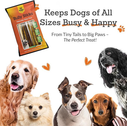 Advance Pet Products 6 Inch Bully Sticks (Pack of 5) - 100% Beef, Odor Free Dog Chews for Aggressive Chewers - Long Lasting, Gluten-Free, Easy to Digest, High Protein & Rawhide Free Chews for Dogs