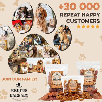 BRUTUS & BARNABY Pig Ear Halves for Dogs, 40 Ct. – All-Natural Single Ingredient Dog Chews, Slow Cooked & Fully Digestible Rawhide Alternative