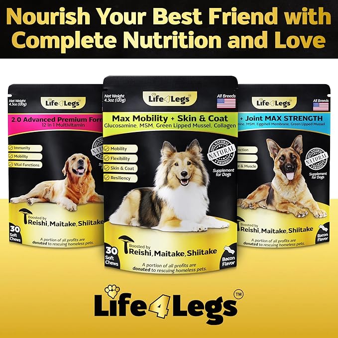 Soft Chews Hip and Joint Supplement for Dogs - Dog Joint Pain Relief Treats - Glucosamine, Chondroitin, Turmeric - Mobility Supplement (Bacon - 30 Soft Chews)