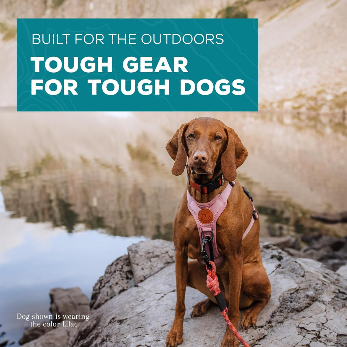 Wilderdog Lightweight Dog Harness with Reflective Straps - Medium - Lilac
