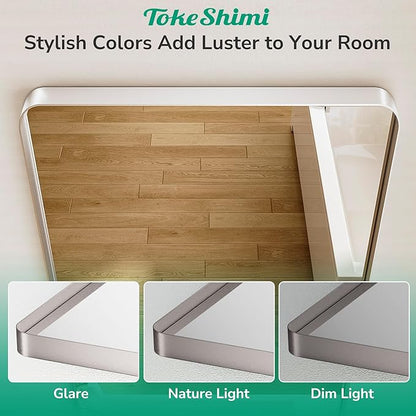 TokeShimi 30 x 30 Brushed Nickel Bathroom Mirror, Nickel Vanity Mirror