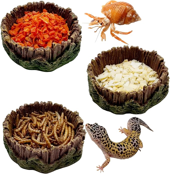 3 Pack Small Reptile Food Bowls, Reptile Feeding Terrarium Bowls for Bearded Dragon Lizard Frog Gecko Tortoise Hermit Crab Snail (Brown)