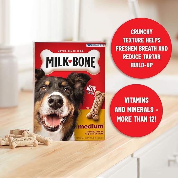 Milk-Bone Original Dog Treats Biscuits for Medium Dogs, 24 Ounces (Packaging May Vary)