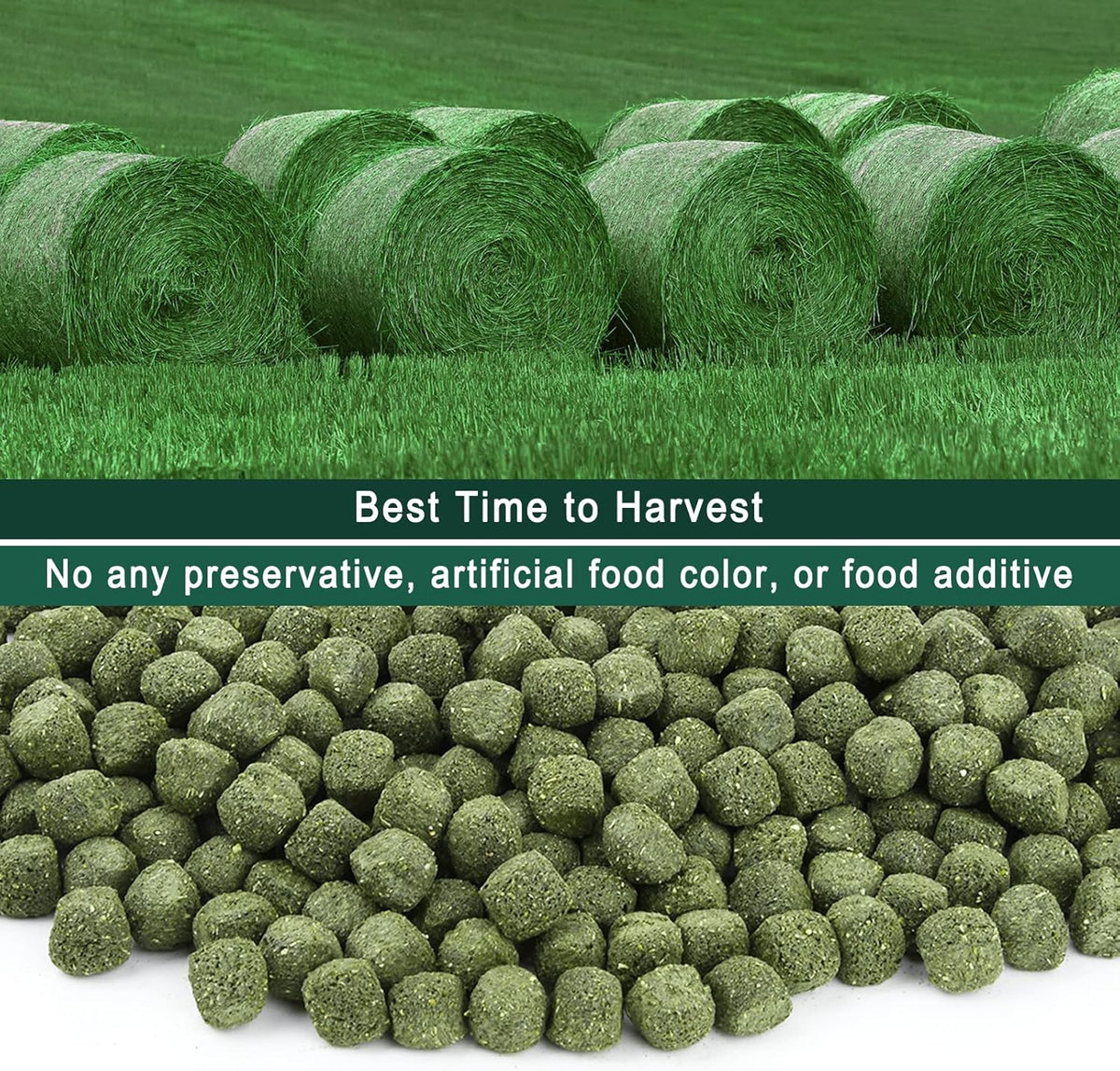Timothy Hay Cubes 90 oz (9 * 10 oz) with Small Size - Timothy Grass Pellets for Tortoises Rabbits Guinea Pig Chinchilla