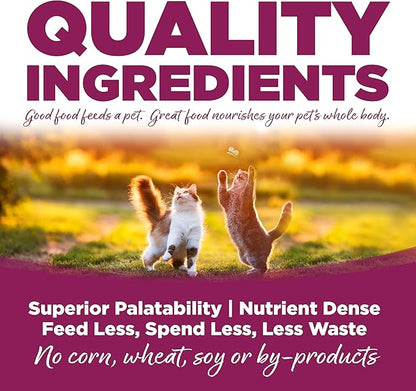NutriSource Cat & Kitten Food, Chicken & Rice, 12LB