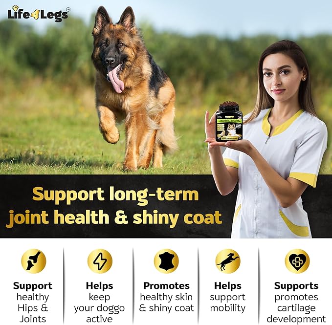 Hip and Joint Chews for Dogs + Skin and Coat Supplement - Dog Joint Pain Relief Treats - Glucosamine, Chondroitin, MSM, Hemp Oil, Turmeric, Omega 3 for Dogs, Mobility Dog Health Supplies