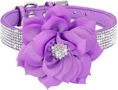 Serijoars Small Dog Collar with Rhinestone Crystal Diamond Colorful Bling Girl Puppy Cat Collars (XXS, Purple6)