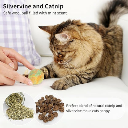 Retro Shaw Cat Toys Balls,Catnip Ball with Bell Inside,Wool Balls Toy with SilverVine Catnip Fill, Upgraded,Interactive Cat Nip Ball for Indoor Kitten Kitty 6 Pcs