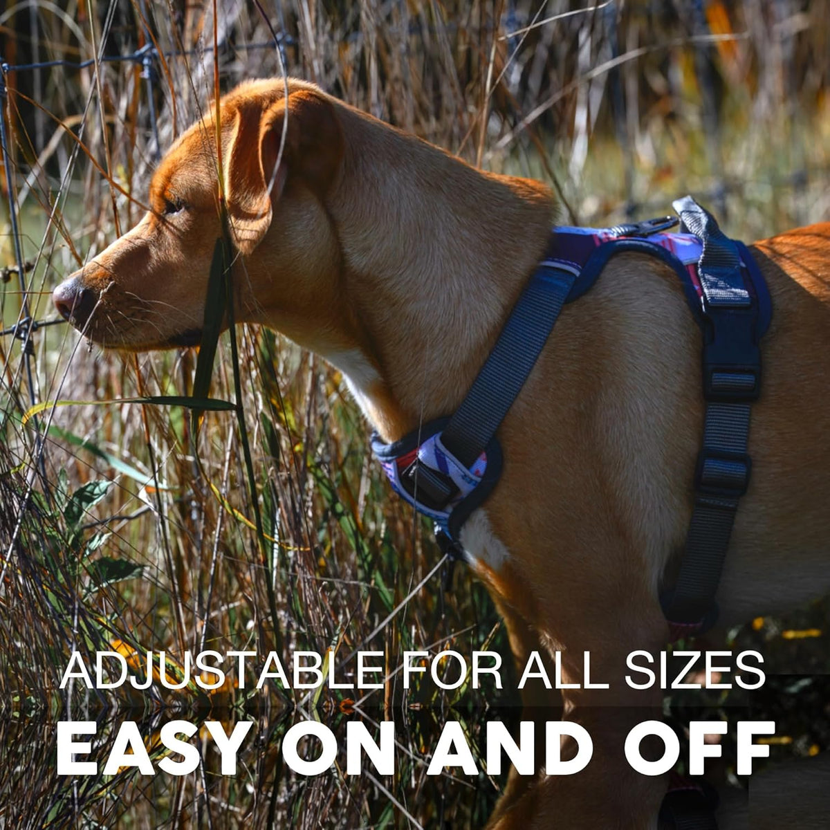 Embark Adventure Dog Harness, Reflective Trim No Pull Dog Harness Medium Sized Dogs - Military Grade Nylon, Front Clip with Gel Lined Handle.