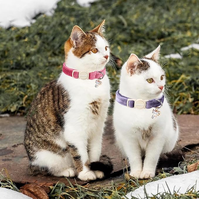 ARING PET 2 Pack Cat Collars-Cute Breakaway Cat Collar with Bell & Pendant, Adjustable Velvet Purple&Rose Red Kitten Collars with Safety Buckle for Girl and Boy Cats