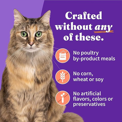 Halo Adult Wet Cat Food, Grain Free, Chicken Shrimp & Crab Stew 5.5oz Can (Pack of 12)