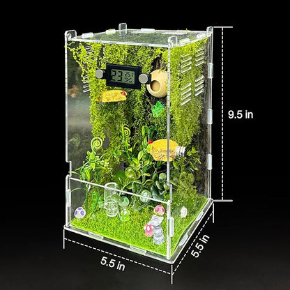 Jumping Spider Enclosure,DIY Insects Habitat,Small Reptile Terrarium Glass House Accessories Set,with Temperature and Humidity Detector Water Feeder Platform Hide,5.5“x5.5”x9.5“ (Forest)