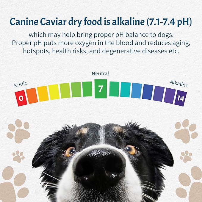Canine Caviar - Free Spirit: Chicken & Pearl Millet Alkaline Dry Dog Food, Limited Ingredients, Gluten-Free, Based on Science & Research, Veterinary Alternative Diet (11 Pound Bag)