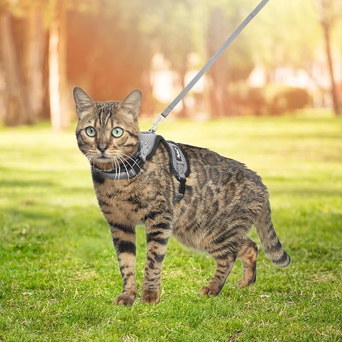 PUPTECK Cat Harness and Leash Set Escape Proof, Reflective Adjustable Soft Mesh Kitten Vest Harness for Walking Travel, Grey, S