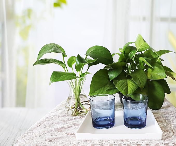 Small White Serving Tray (8.5 x 6.3 inch) for Serving Accessory, Spa, Coffee, Drinks, Wine, Tea, Bar, Party, Seasoning, Perfume or Display Use.