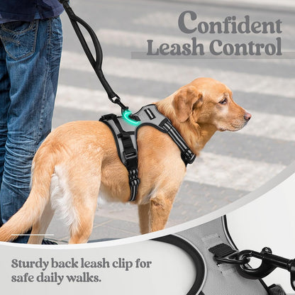 rabbitgoo Dog Harness No Pull with 2 Leash Clips, Adjustable Soft Padded, Reflective Oxford No Choke Pet Vest with Easy Control Handle for Small Dogs, Grey, S