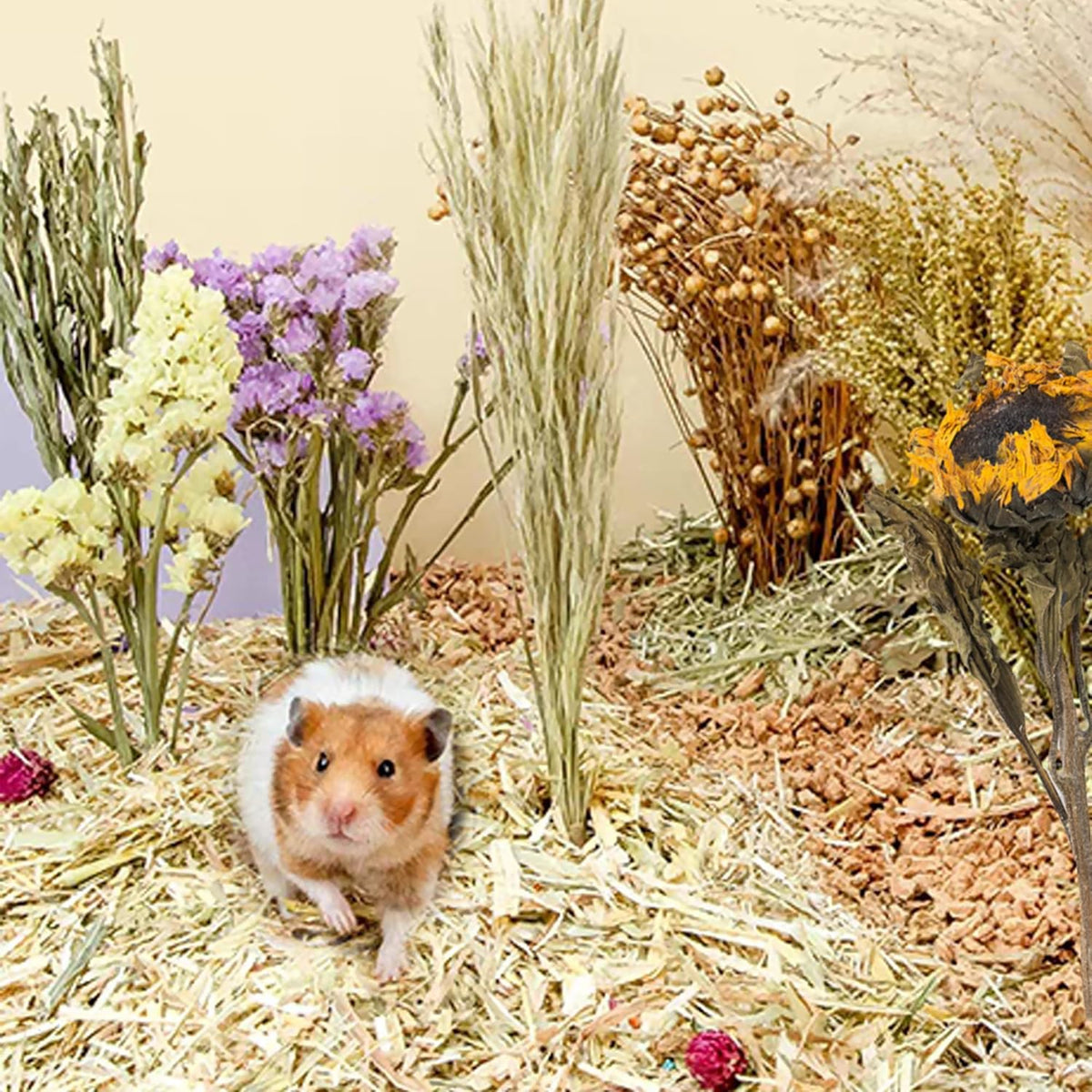 Natural Ear of Grain Flower&Herb Bedding Mate Habitat Decor, Adding Fun Hamster Accessories for Hamsters Gerbils Lemming