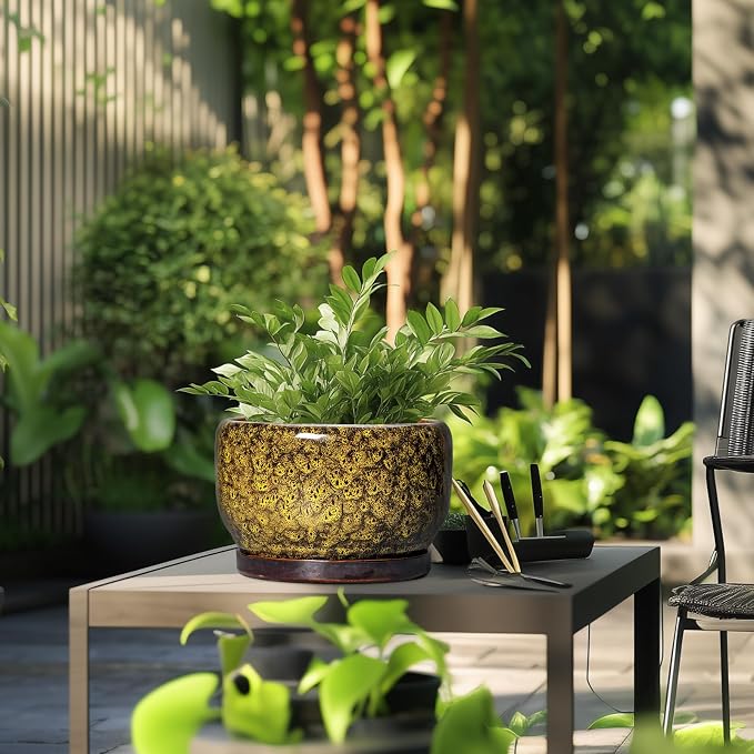 SQOWL 10 Inch Plant Pot - Ceramic Flower Pots with Drainage Hole and Saucer, Ceramic Planter for Indoor Plants Outdoor, Decorative Round Large Planter, House Decor, Gifts for Women Men, Yellow