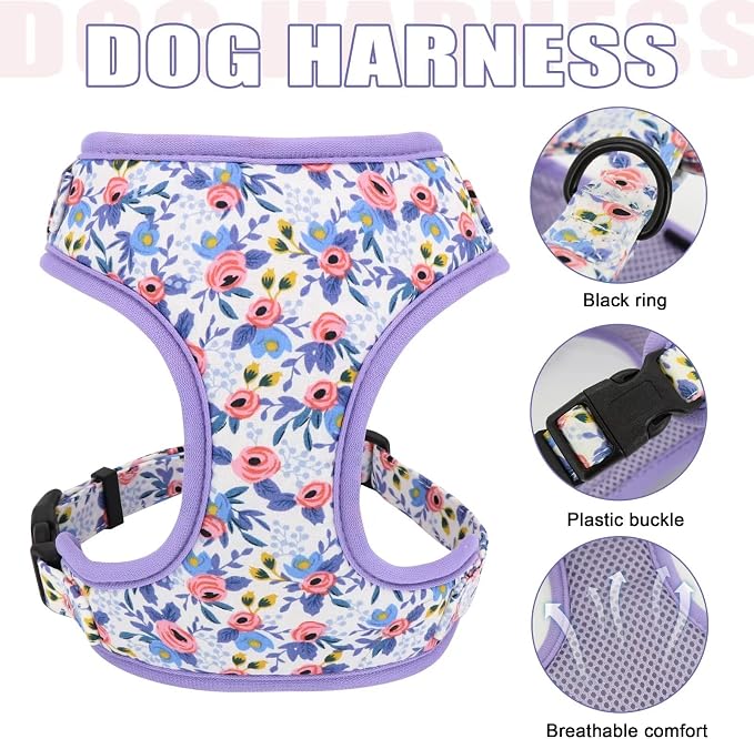 Beirui Cute Dog Collars,Harnesses,Leashes Set, Floral Pattern, Blue,S | Girl Dog Harness Set with Flower, Adjustable and Soft Mesh Lining, For Small Dogs Daily Walks