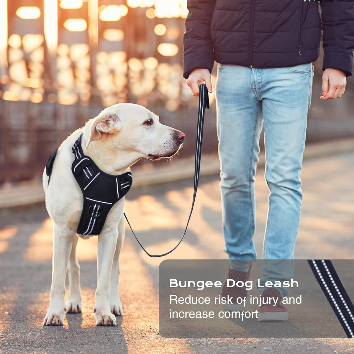 No Pull Dog Harness for Medium Dogs, Adjustable No Choke Pet Vest with Dog Leash Fit Smart Reflective Pet Walking Harness for Training Easy Control Soft Handle Black S