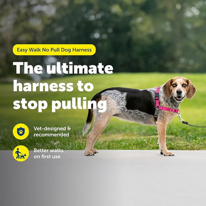 PetSafe Easy Walk Harness, No Pull Dog Harness, Raspberry, Small/Medium | Patented Martingale Loop Gives Gradual Shoulder Pressure to Stop Pulling, Front-Chest Leash Clip Prevents Gagging