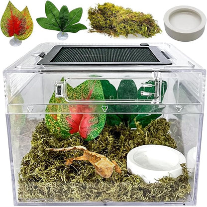 Reptile Terrarium, Jumping Spider Enclosure Starter Kit, Leopard Gecko Habitat Container, 8"x8"x6"Reptile Tank for Tarantula, Hermit Crab, Insect, Fish, Frog, Small Bearded Dragon, Lizard