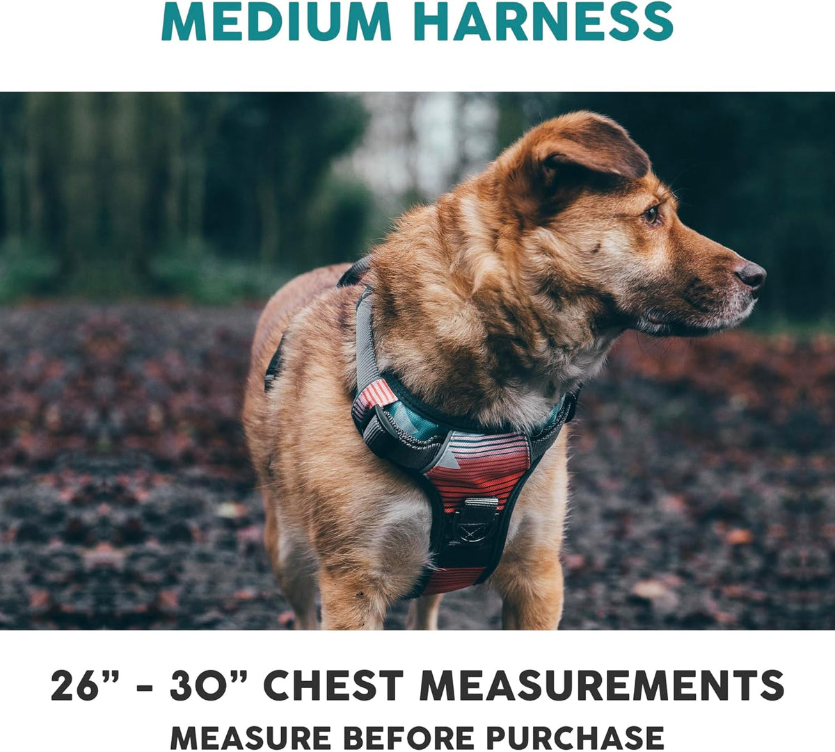 Embark Adventure Dog Harness, Reflective Trim No Pull Dog Harness Medium Sized Dogs - Military Grade Nylon, Front Clip with Gel Lined Handle.