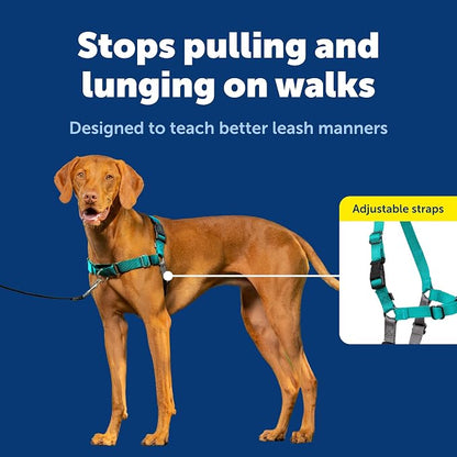 PetSafe Easy Walk Harness, No Pull Dog Harness, Teal, Medium | Patented Martingale Loop Gives Gradual Shoulder Pressure to Stop Pulling, Front-Chest Leash Clip Prevents Gagging