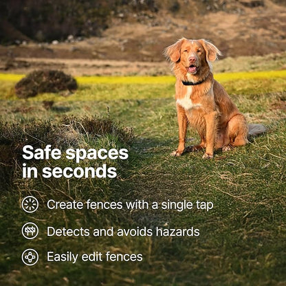 Halo Collar 5, New Wireless Dog Fence & GPS Dog Collar, Subscription Required, Waterproof, Blaze, One Size