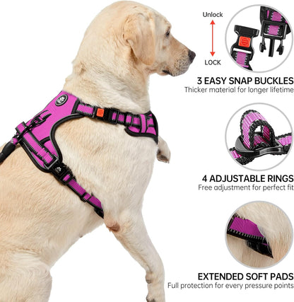 NESTROAD No Pull Dog Harness,Adjustable Oxford Dog Vest Harness with Leash,Reflective No-Choke Pet Harness with Easy Control Soft Handle for Small Medium Dogs(Medium,Fuchsia Pink)