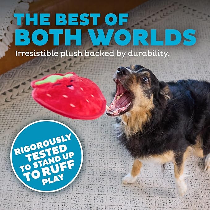 Outward Hound Tough Skinz Durable Squeaky Dog Toy with Two Tough Layers, Strawberry, Red, Medium
