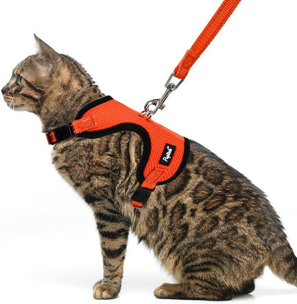 PUPTECK Cat Harness and Leash Set Escape Proof, Reflective Adjustable Soft Mesh Kitten Vest Harness for Walking Travel, Orange, S