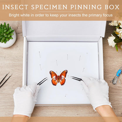 Taiyin 2 Sets Insect Pinning Kits Include 2 Insect Pinning Boxes 2 Insect Pinning Boards 100 Insect Pins and 3 Tweezers for Project Bugs Collection and Specimen Displays