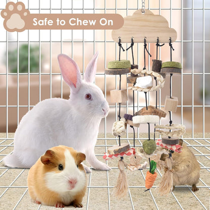 Bissap Rabbit Chew Toy, Bunny Cage Hanging Chew Toys and Treats Wooden with Snacks for Guinea Pigs Chinchillas Hamsters Rats and Other Small Pets Teeth Grinding