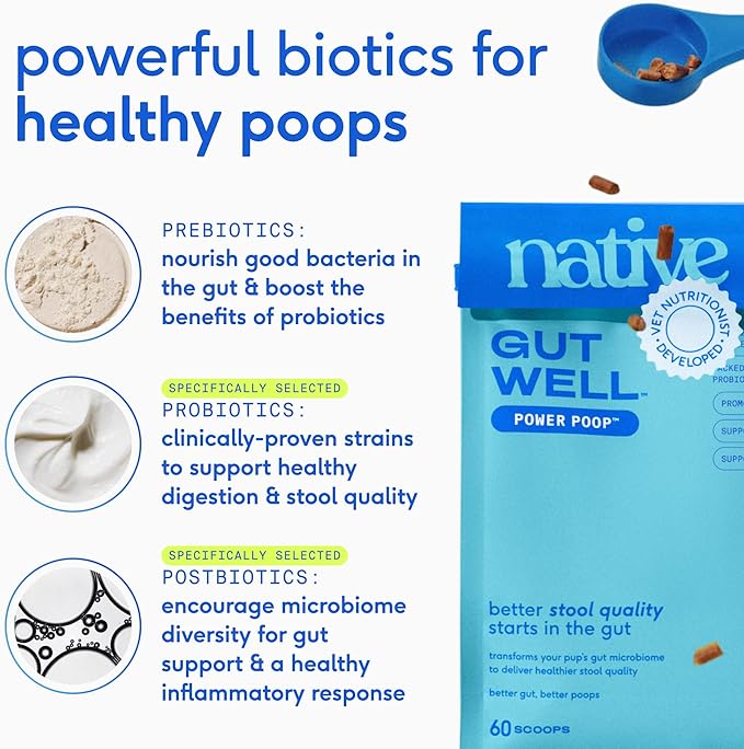 GutWell Power Poop - Digestive Enzymes & Fiber for Dogs - Dog Fiber Supplements Help with Diarrhea Relief, Upset Stomach, Pet Gas & Gut Health with Targeted Triple-Biotic Blend & M-Fiber - 60 Scoops