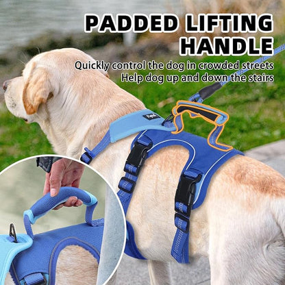 PUPTECK Escape Proof Dog Harness and Leash Set Upgraded No Pull Reflective Dog Vest with Lift Handle, Easy Control Pet Harness for Medium Large Dogs Training Walking Running, Blue, L