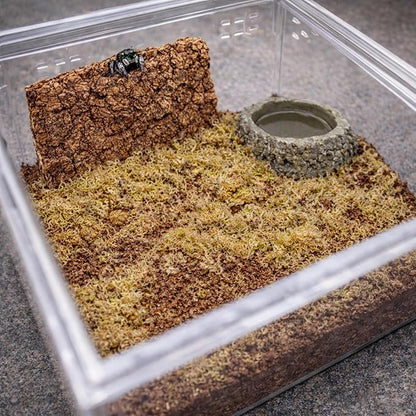 Tarantula Rehousing Supply Kit - Coco Fiber Substrate, Moss, Cork Bark Hide & Water Dish - Essential Terrestrial Tarantula Setup